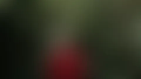 ❤️🌿 - #2