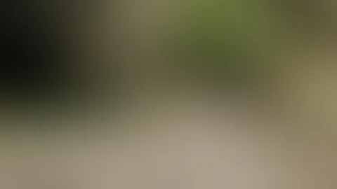 Wie die Titten wackeln