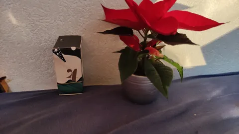4. Dezember