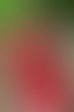 Findest du rot steht mir gut?