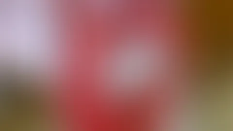 Schöne Festtage 🥰🥰🥰😍😍