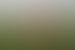 Ich wünsche euch ein schönes Wochenende verpasst nicht meine aktuelle Kornfeldserie 😏🤤