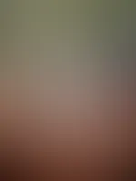 đđđ