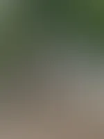 Heute Abend wieder in der Live Cam đFreue mich schon sehr heute Abend die cam wieder einzuheizen đ„ bis spĂ€ter Kuss auf die Nuss đ„°