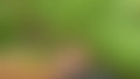 Tape22 Outdoor Handjob beim Bärlauch sammeln mi Happyend