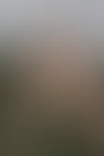 Bereit für einen Blick auf meine prallen Kurven? 😏✨ Was denkst du über meine Titten? 💦