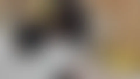 Wäre so ein sexy Outfit bei dir im Büro erlaubt?!