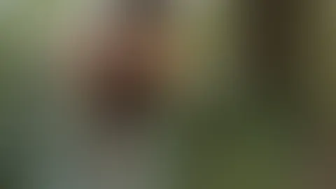 🌱🌿 - #2