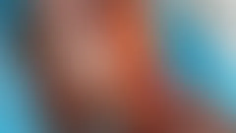 🥕🥕 Zeit