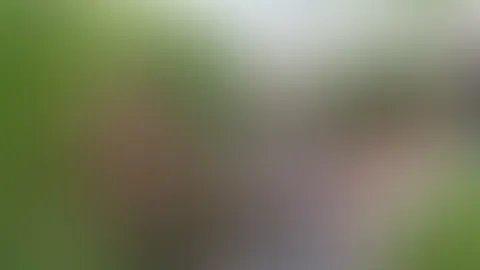 In Nachbars Kellerloch dreckig abgef**kt