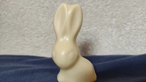 Wo möchte den der kleine Hase hin