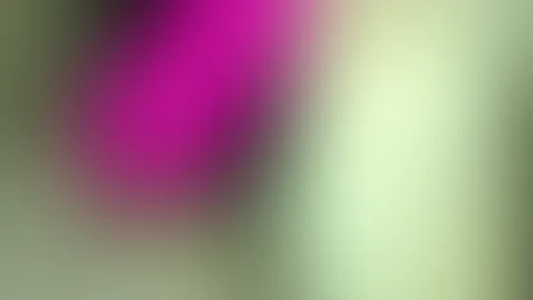 Zwischendurch mal selbst besorgt und die P***y zum zucken gebracht. Nur für Feed Abo´s