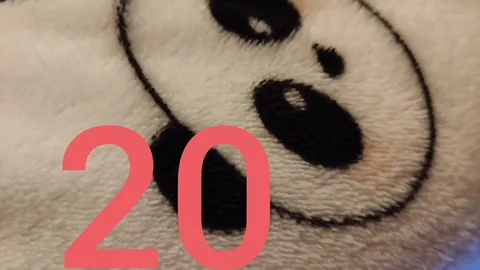 20. Dezember