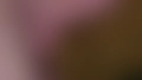 Sextape nach dem Sommerfest