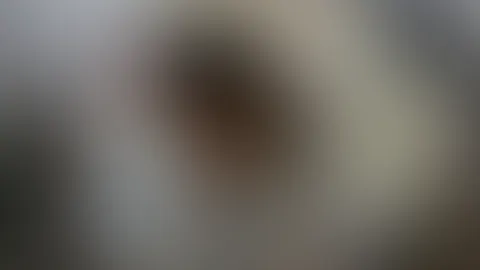 Auf Klassenfahrt ERWISCHT! :o