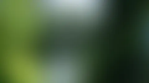 Hattest du schonmal Spaß im Wald?😍😈