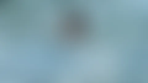 Nasse Träume werden wahr 🌊😉 – Meine Titten stehen im Rampenlicht, bereit für dich. Traust du dich näher zu kommen?