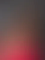 đ