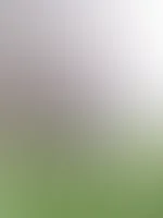 Der Frühling ist auf dem vormarsch