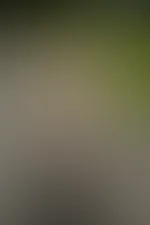 Und was habt ihr so schönes gemacht? 🔥