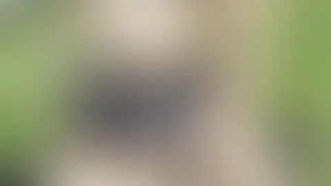 ABONENNTEN SPECIAL **POLIZEIKELLENPORNO*