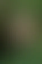 Magst mit mir in den Wald kommen ? 😈
