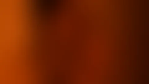Frohe Weihnachten đ