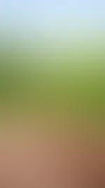 Kleiner einblick
