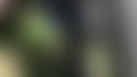🏍️ Summer Vibes im WinterWinter🏍️ Das Jahr ist fast vorbei aber die Vorfreude auf die neue Saison wächst. Ich bin sowas von bereit!🔥