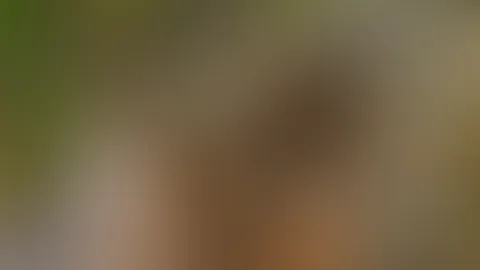 FĂŒr die, die mein neues Video noch nicht gesehen haben, hier noch ein kleiner Einblick đđ