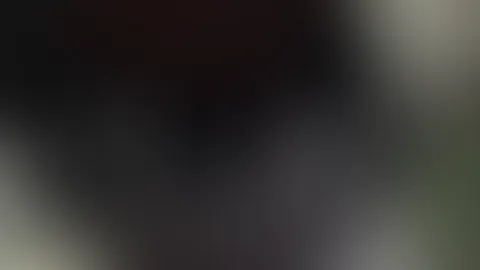 đ