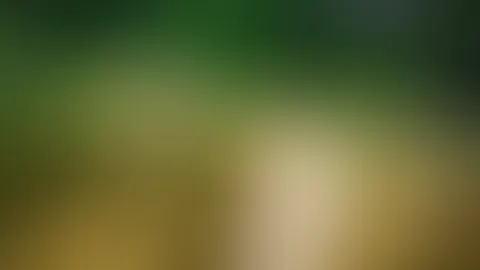 „Badespaß am FKK🍑 - das Video“ …ich dachte ja eigentlich, ich bin mal privat da…😅✌🏻 Na, wer will sich das nächste mal gern dazu gesellen? 😁