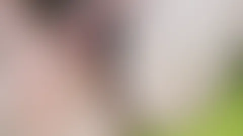 Vorm schlafen gehen