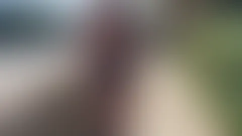 Spatziere durch Verona.