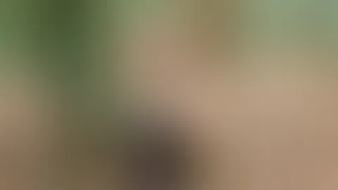 Was würde dir einfallen.. du & ich, allein im Wald.. ? 🤭😋