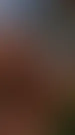Komm wir gehen ins Gebüsch und F….. ne Runde 💦❤️🔥