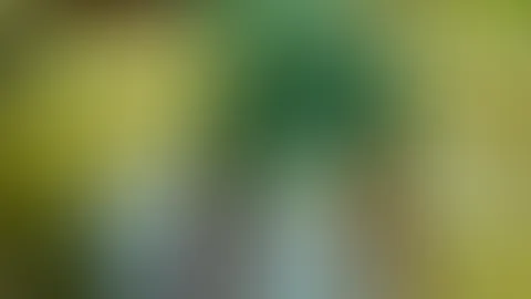 Ich liebe Outdoor-Spass. Kannst du dir vorstellen was nach diesem Foto passiert ist…?