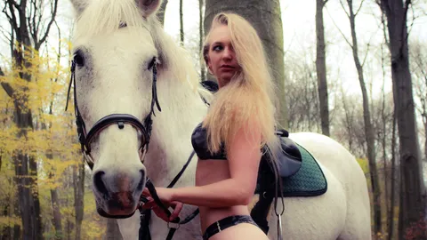 Hoppe Hoppe Reiter 🐎
