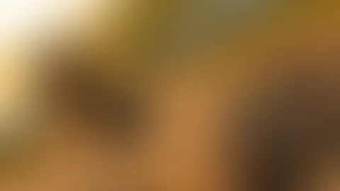 Lust auf ein paar Geheimnisse ?đ€«đźâđš