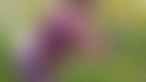 Bin ich süß genug für dich?💕