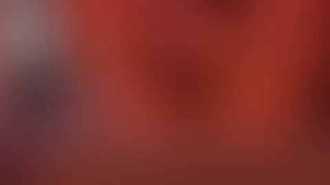 S****t