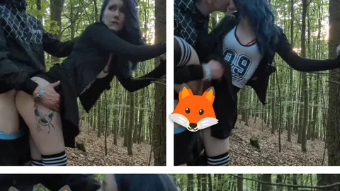 C******e im Wald