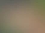 Free XX Nudes đđ