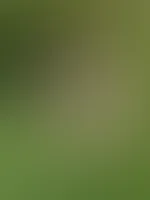 Nackte Füsse in der Frühlingsnatur 👣☀️🐛💮