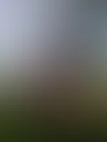 Brüste raus