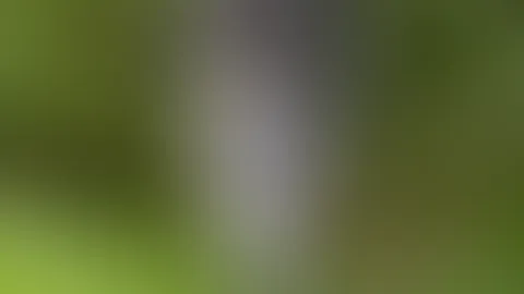 Was glaubt ihr, was nach diesen Bildern als Nächstes passiert? 🤭🤭🤭
