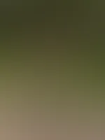 Hoch die Hände Wochenende! Was hast du geplant?
