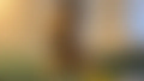 🥰🙈