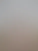 đ§ Feed-Editionđ§