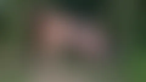 Das Schöne Wetter genießen